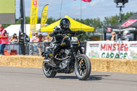 GP2508-3981