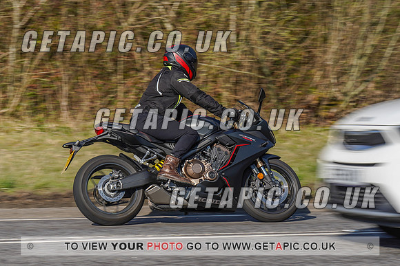 RS2202_2164