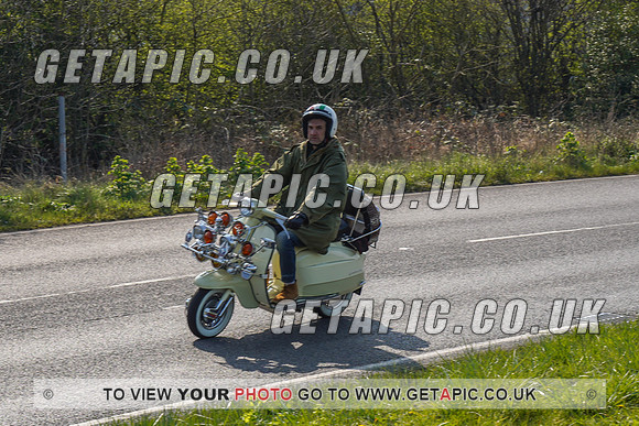 RS2203_5185