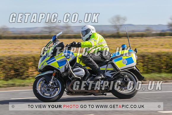 GP2204-22853
