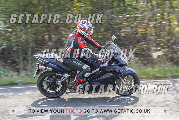 RS2203_4581