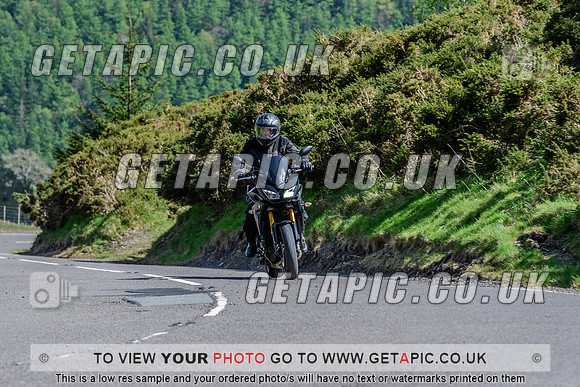 SP2504-1719