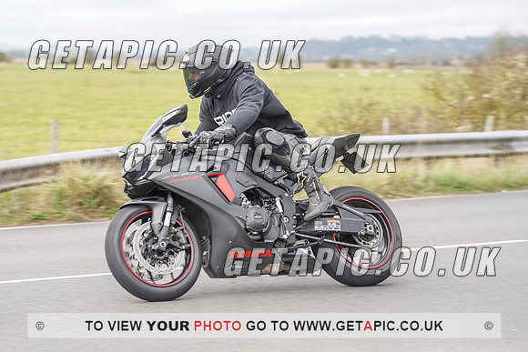 RS2203_6704