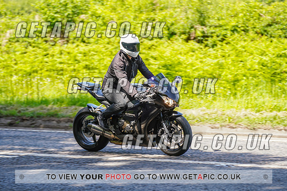 RS2205_17713