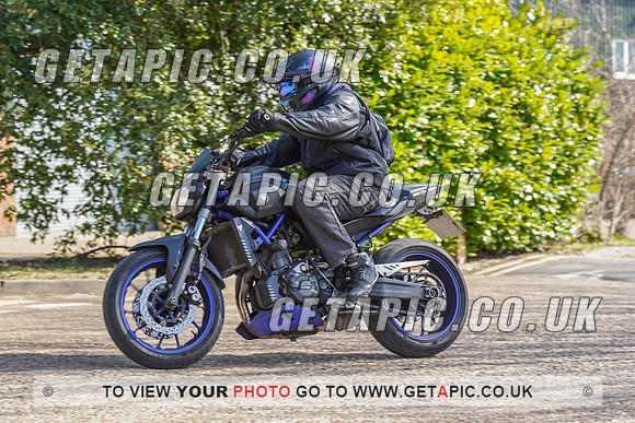 RS2203_6097