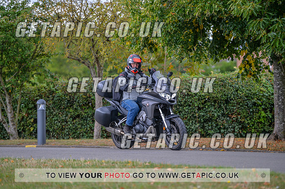 GP2208-13605