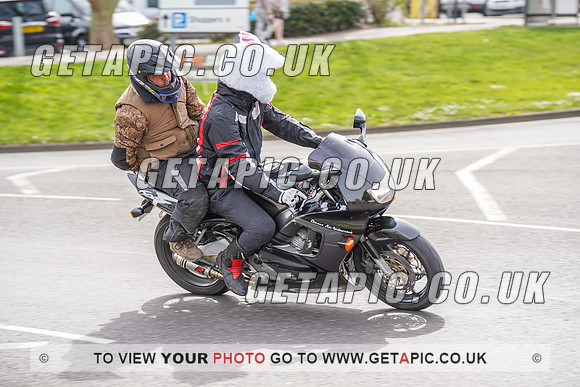 RS2204_10320