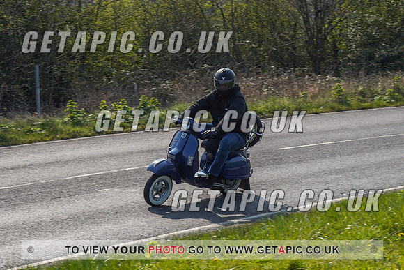 RS2203_5195