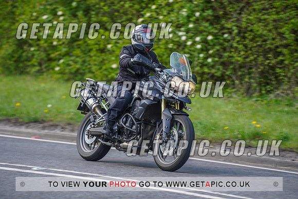 RS2204_11560