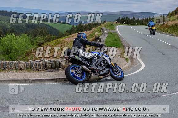 SP2505-538
