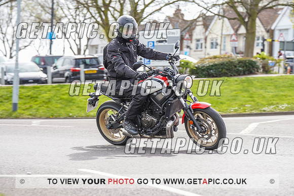 RS2204_10290
