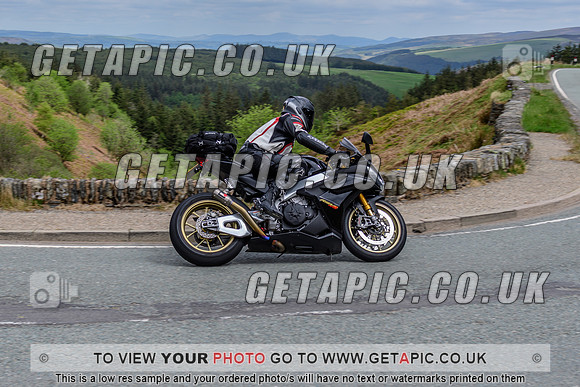 SP2505-545