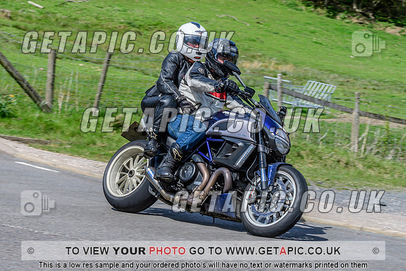 SP2504-2381