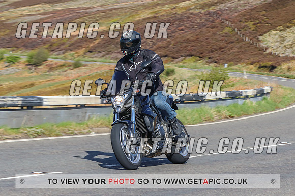 BL2204-13463