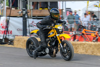 GP2508-3693-C