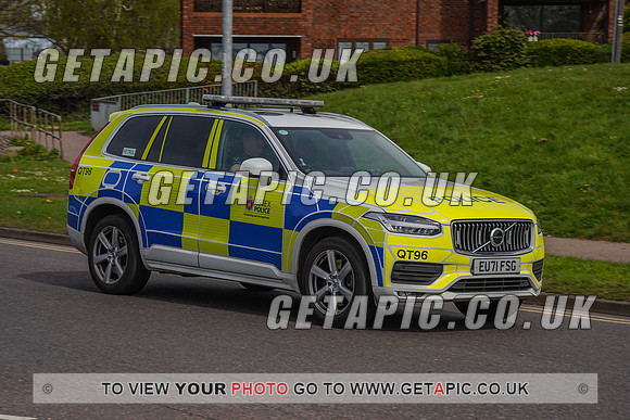 RS2204_5560