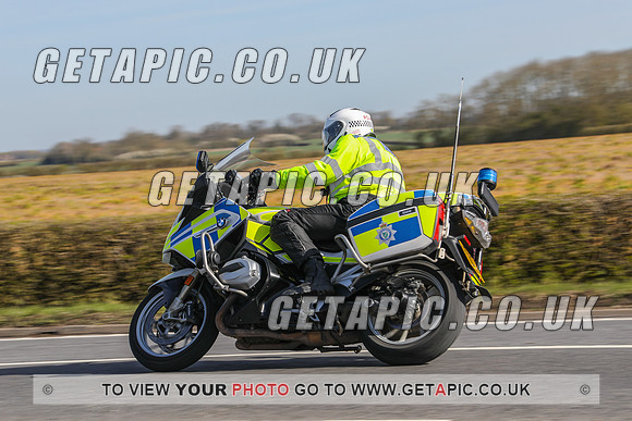 GP2204-22855