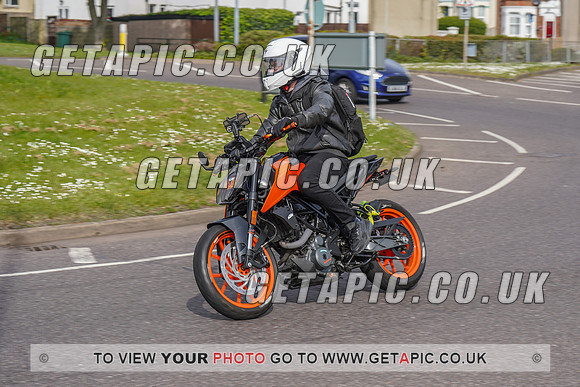 RS2204_3961