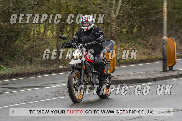 RS2203_1033