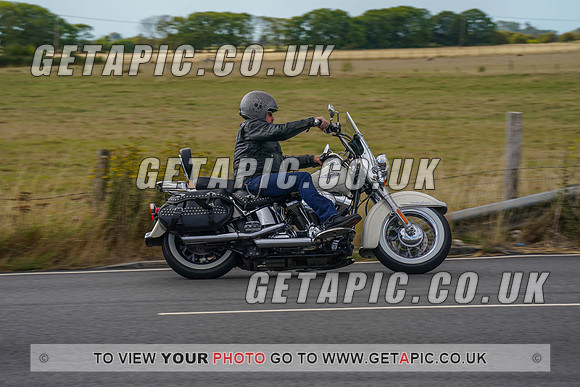 Rs2208_1801