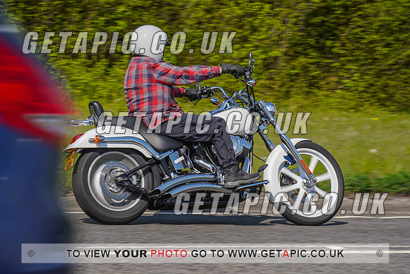RS2204_11590