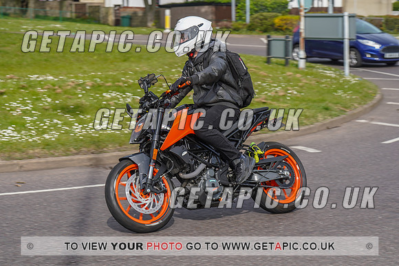 RS2204_3962